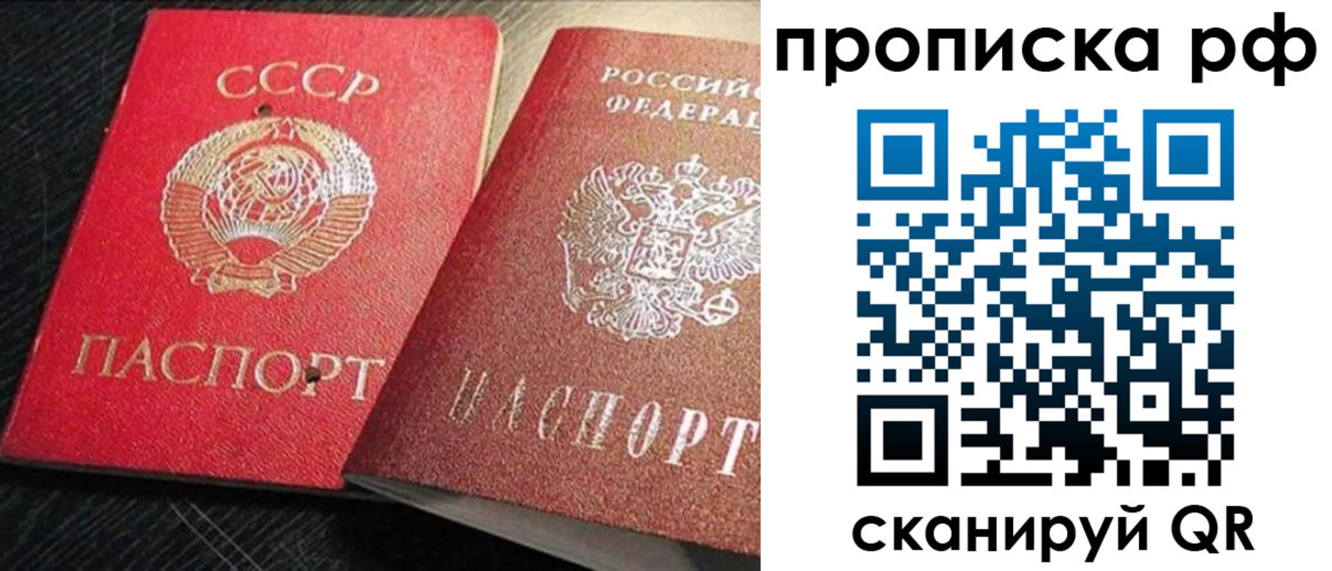 где прописаться в Шебекино